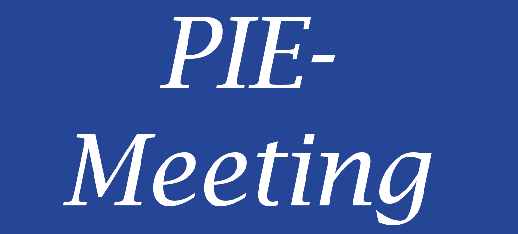 PIE-Meeting